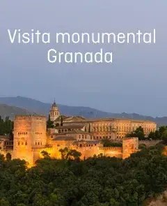Visita Monumental de Granada